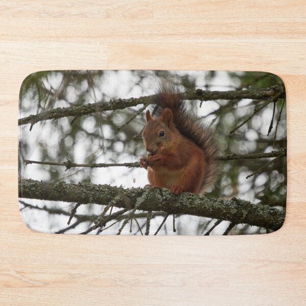 Item preview, The Cone lover. Red squirrel designed and sold by Jouko Lehto Photography.