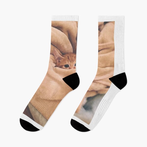 Item preview, cat photo with high resolution quality designed and sold by Allyouneed-2.