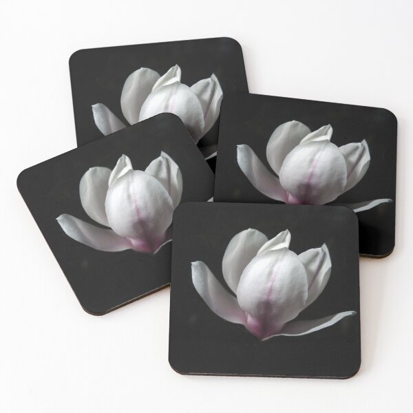 Item preview, Magnolia Bloom designed and sold by AdvancedPhotons.
