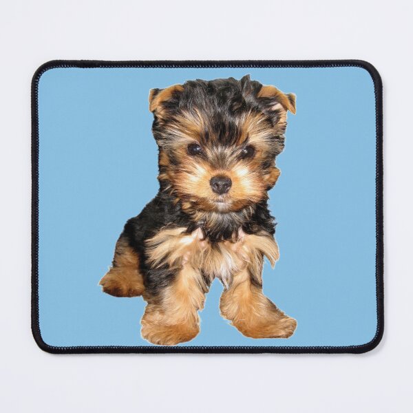 Item preview, Cute Yorkie Puppy Dog | Adorable Yorkshire Terrier designed and sold by Yorkie  Love.