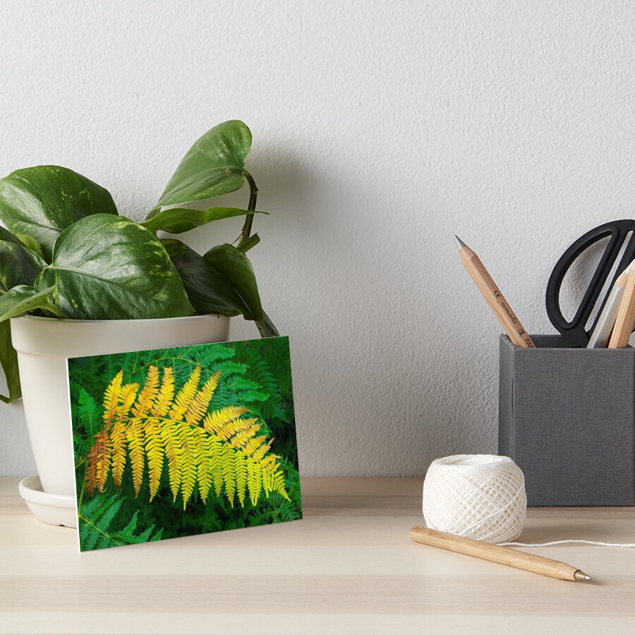 Item preview, Art Board Print designed and sold by patmo.