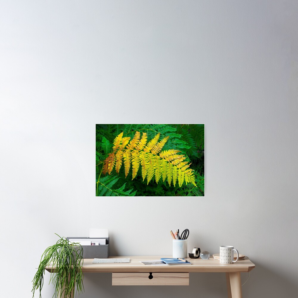 Item preview, Poster designed and sold by patmo.