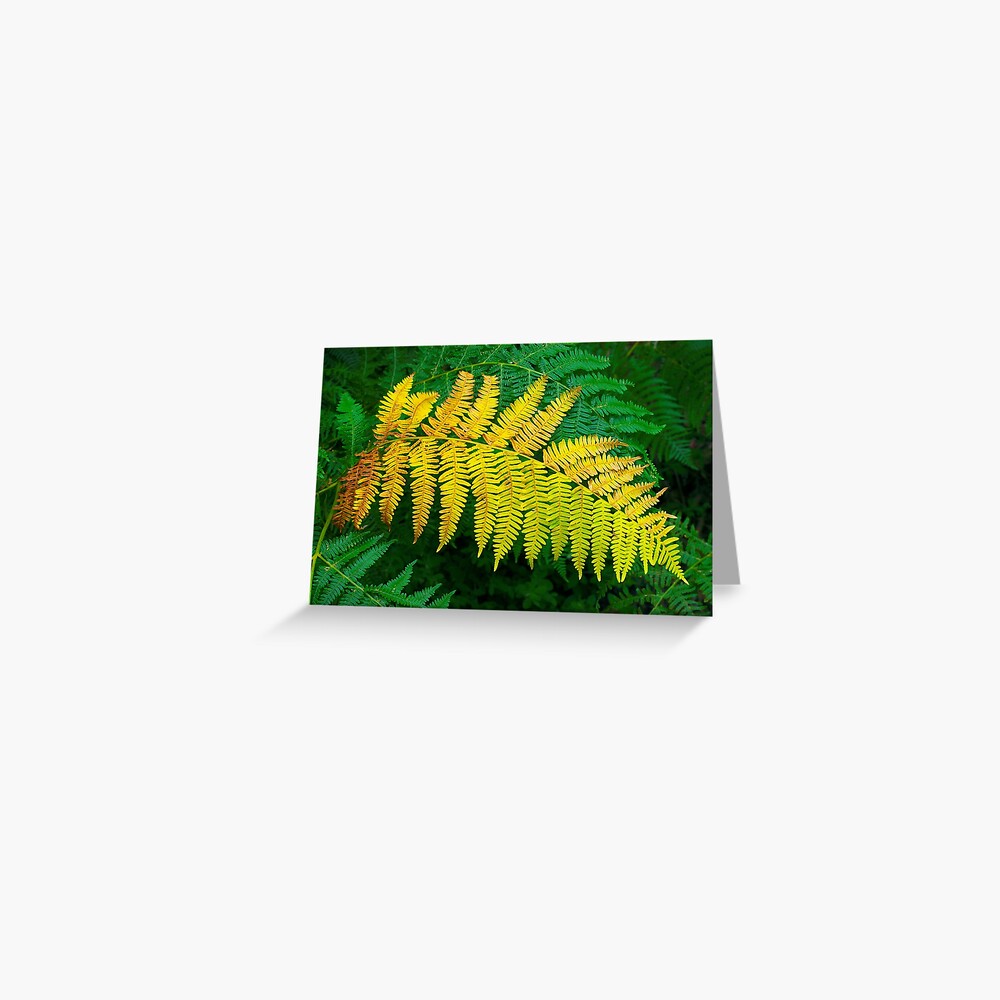 Item preview, Greeting Card designed and sold by patmo.