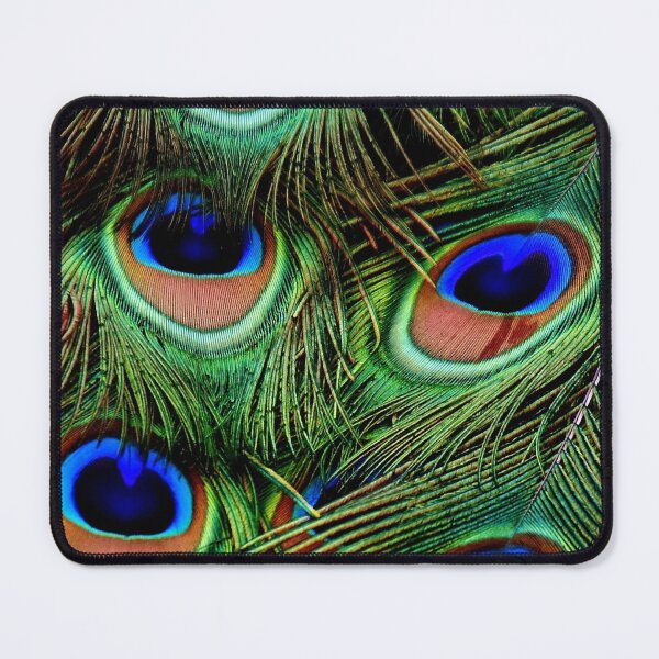 Item preview, Proud as a peacock 2. You can see why. Majestic blue green colour feathers, plumage. (From photograph of a live peacock). designed and sold by JellyBeenzz.