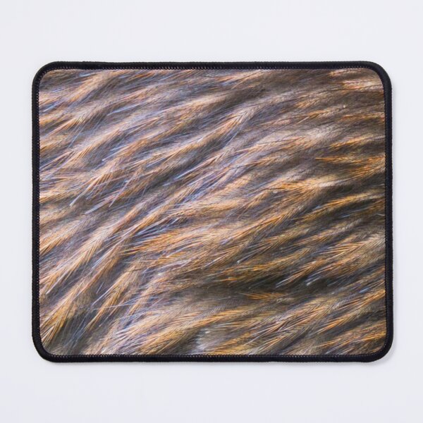 Item preview, Kiwi feathers, plumage, brown, close up. (From photograph of a live kiwi). designed and sold by JellyBeenzz.