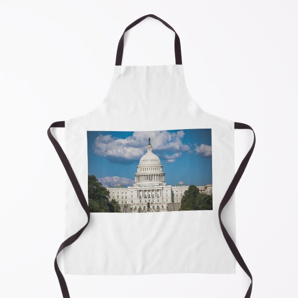 Item preview, U.S. Capitol in Washington, DC designed and sold by Leslie Banks.