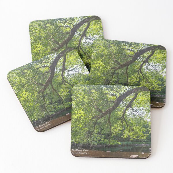 Item preview, The Mersey River in Kejimkujik National Park - Nova Scotia, Canada designed and sold by Halifax Trails.
