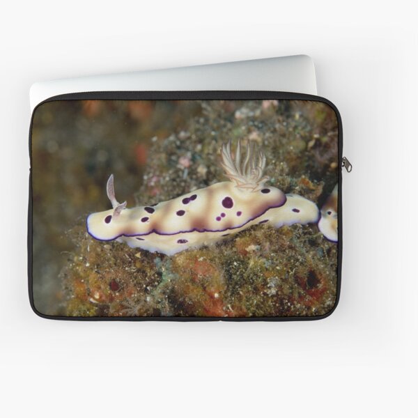 Nudibranch - Risbecia tryoni Laptop Sleeve