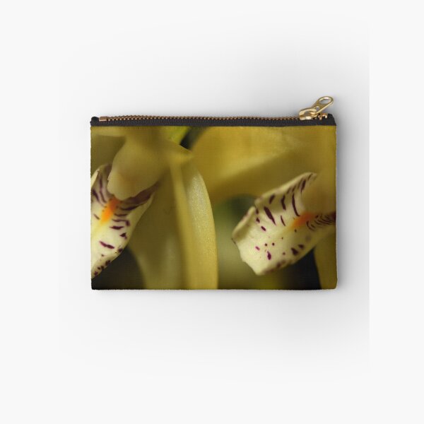 Item preview, Dendrobium speciosum var. curvicaule  designed and sold by andrachne.