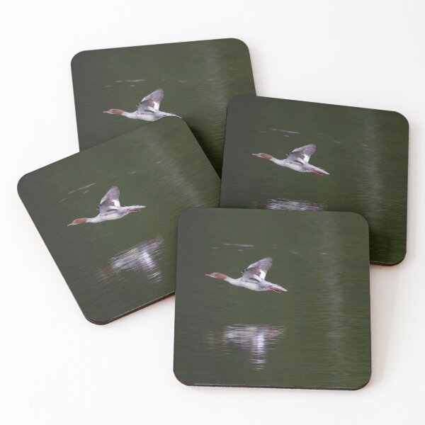 Item preview, Goosander flight designed and sold by Jouko Lehto Photography.
