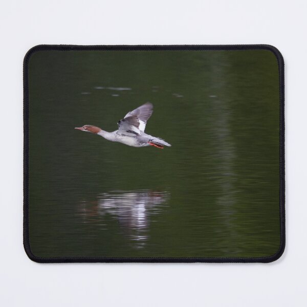 Item preview, Goosander flight designed and sold by Jouko Lehto Photography.