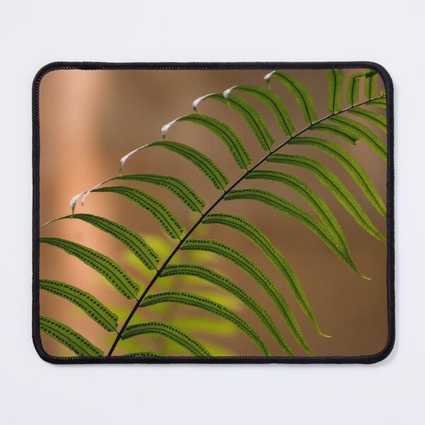 Item preview, Fern designed and sold by Zina Stromberg.