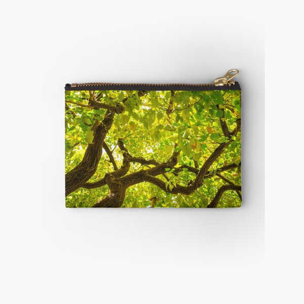 Item preview, Color Tree designed and sold by J. S. Wolf Photography.
