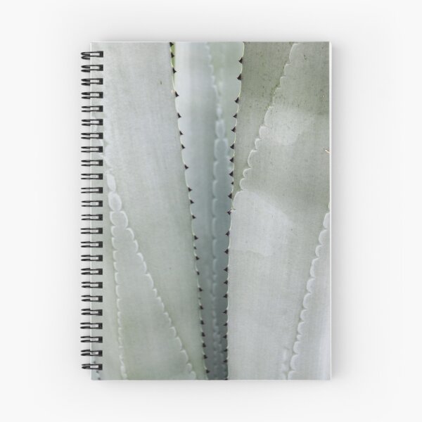 Item preview, Agave Tequilana Leaves. designed and sold by VgBingi.