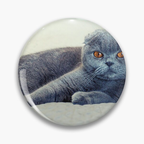 Item preview,  foto de gato con calidad de alta resolución designed and sold by Allyouneed-2.