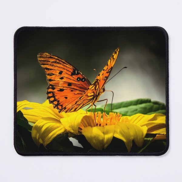 Item preview, Passion butterfly at night designed and sold by Zina Stromberg.