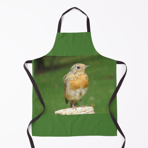 Item preview, Robin on a Log Photograph designed and sold by naturegallery.