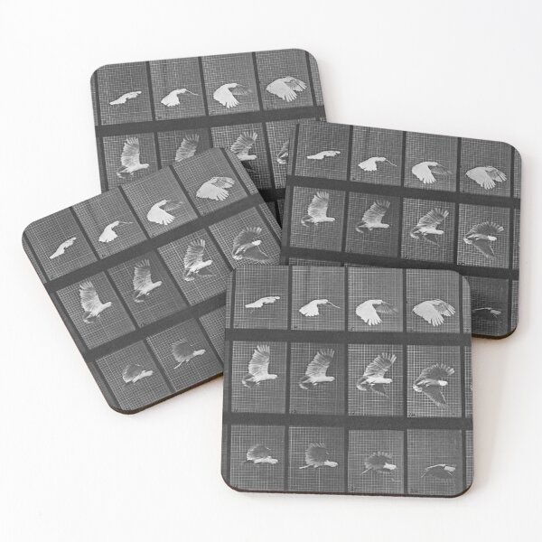 Item preview, Bird Locomotion Plate circa 1887 designed and sold by photefaux.