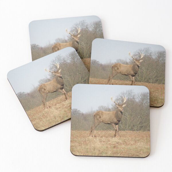 Item preview, Male Red Deer Stag on Hill Photograph designed and sold by naturegallery.