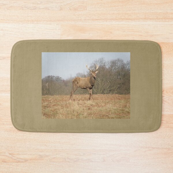 Item preview, Male Red Deer Stag on Hill Photograph designed and sold by naturegallery.