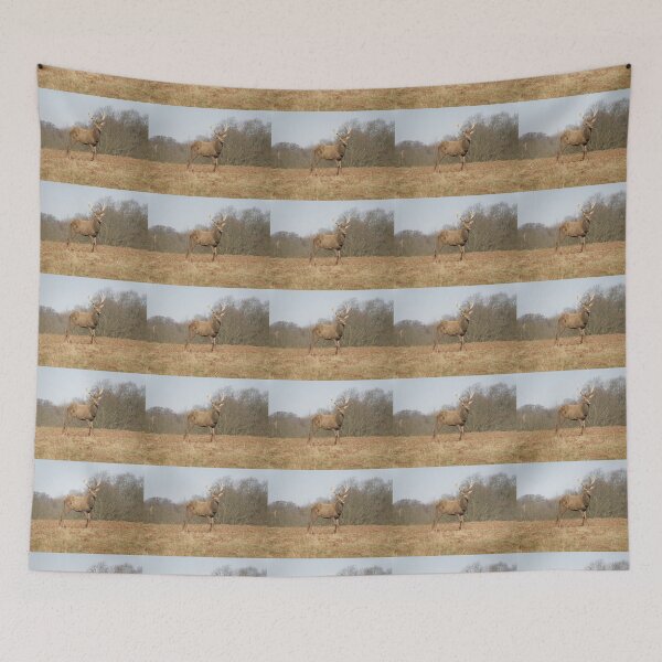 Item preview, Male Red Deer Stag on Hill Photograph designed and sold by naturegallery.