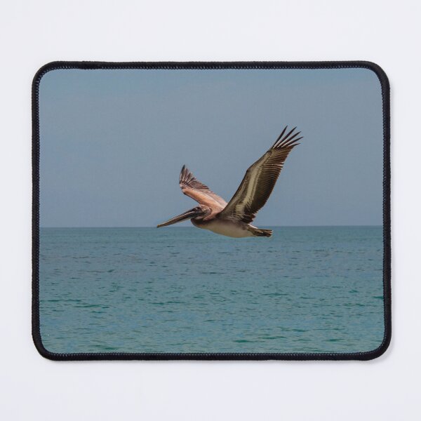 Item preview, Brown pelican in flight designed and sold by Zina Stromberg.
