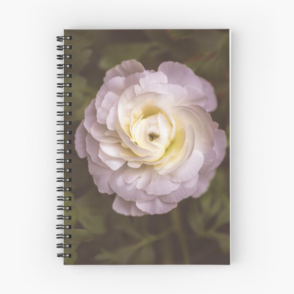 Item preview, Ranunculus designed and sold by alan shapiro.