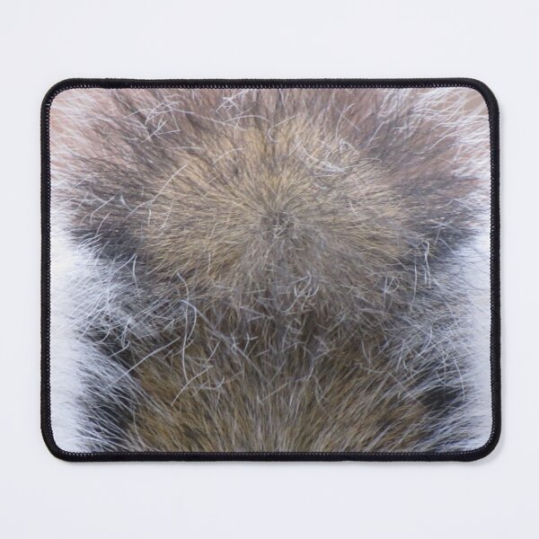 Item preview, It's A Squirrel's Tale designed and sold by Jean Gregory Evans.