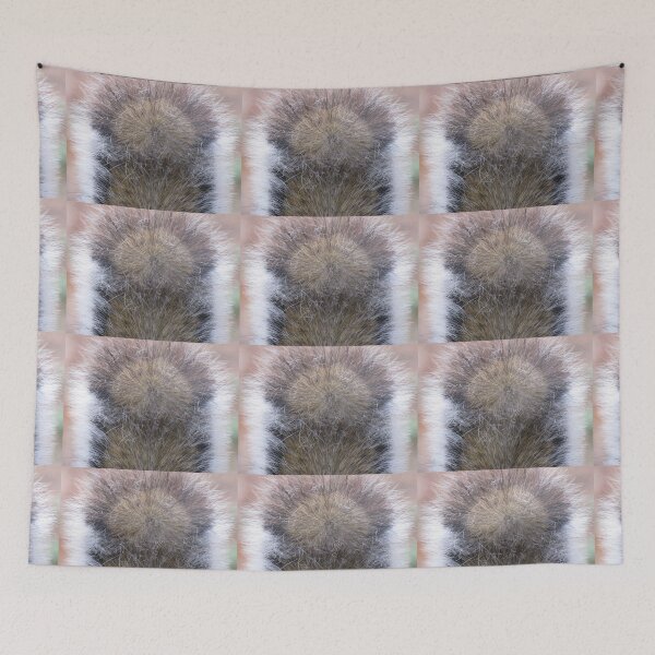 Item preview, It's A Squirrel's Tale designed and sold by Jean Gregory Evans.