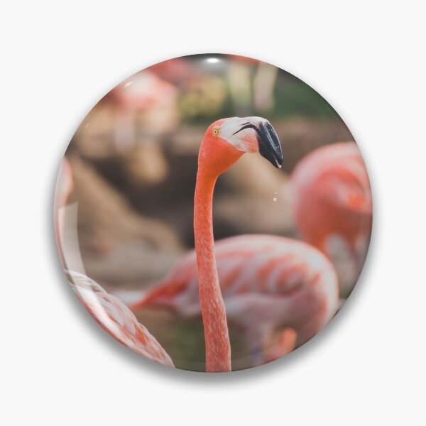 Item preview, Flamingos in a Pond designed and sold by Leslie Banks.