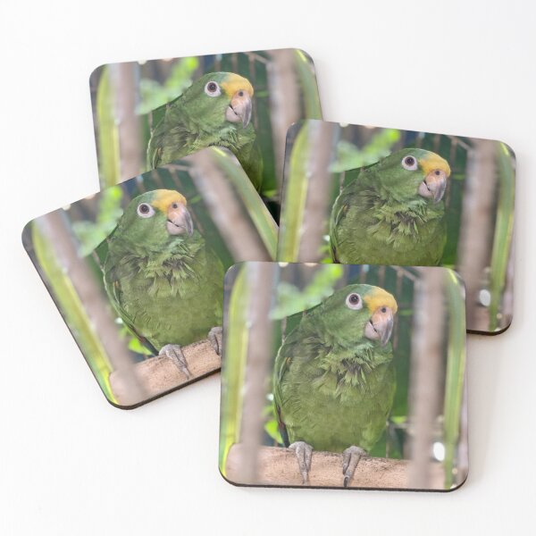 Item preview, Pretty Bird  designed and sold by klacain.