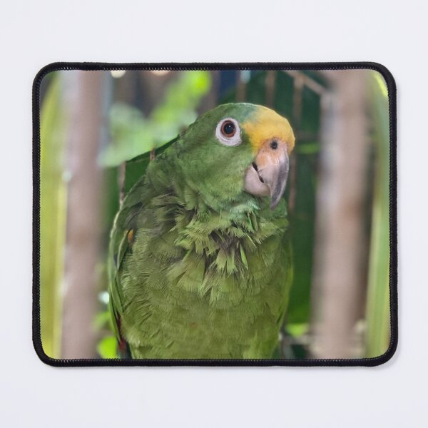 Item preview, Pretty Bird designed and sold by klacain.