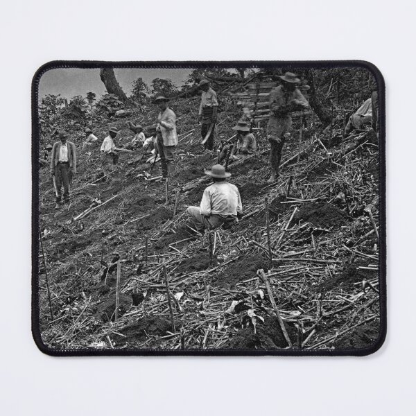 Item preview, Coffee Plantation in Guatemala circa 1875 designed and sold by photefaux.