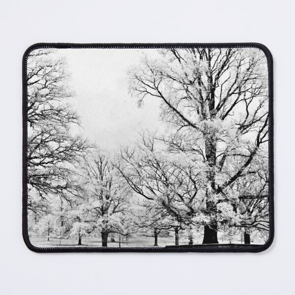 Item preview, Winter Park Scene circa 1862 designed and sold by photefaux.