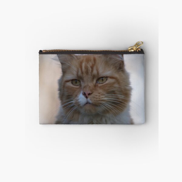 Item preview, Not Happy about Posing designed and sold by Barry Doherty.
