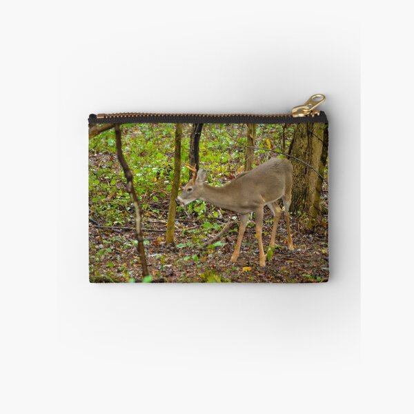 Artikelvorschau, The Little Buck entworfen und verkauft von Fred Moskey.