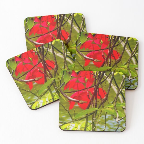 Item preview, Bright Red Leaves designed and sold by Shulie1.