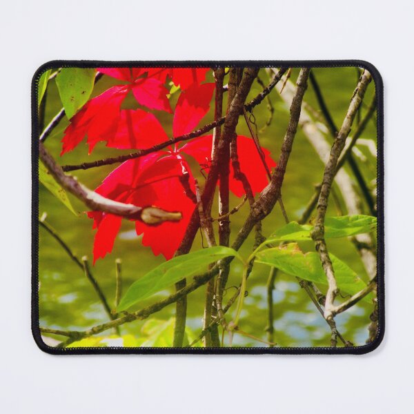 Item preview, Bright Red Leaves designed and sold by Shulie1.