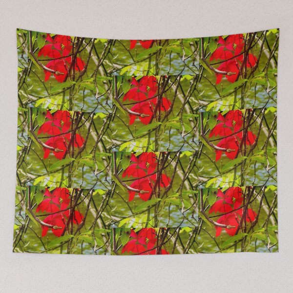 Item preview, Bright Red Leaves designed and sold by Shulie1.