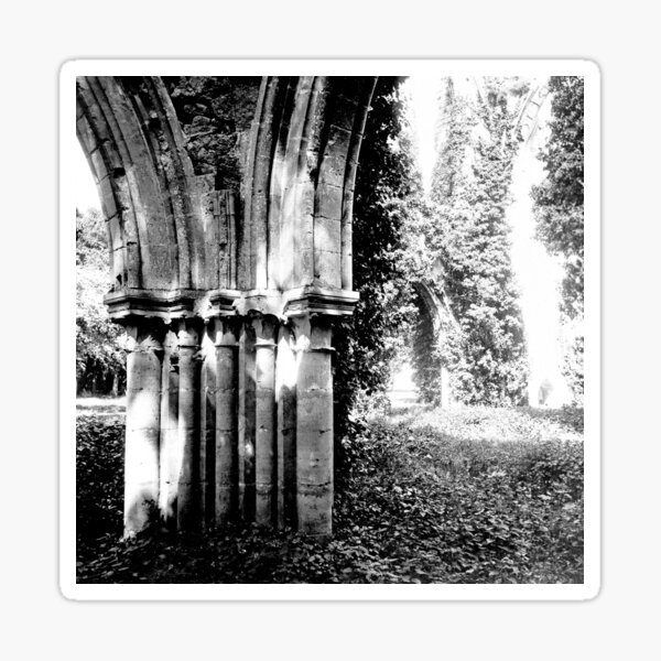 Item preview, Church Ruins circa 1910 designed and sold by photefaux.