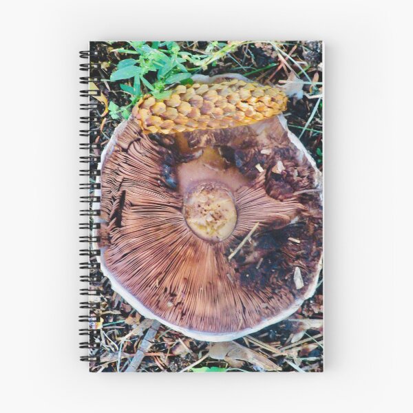 Item preview, Fallen Mushroom designed and sold by Shulie1.