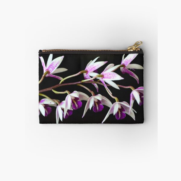 Item preview, Dendrobium Dendrocoryne Hybrid  designed and sold by andrachne.