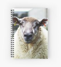 Nobby Spiral Notebook