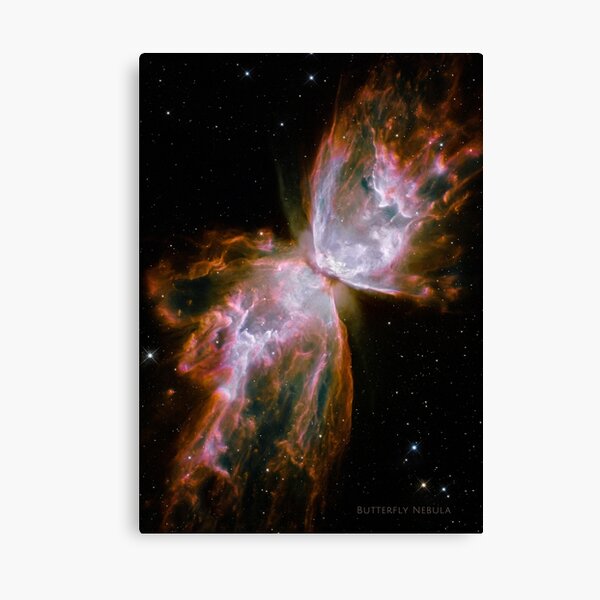 Butterfly Nebula HD! Canvas Print