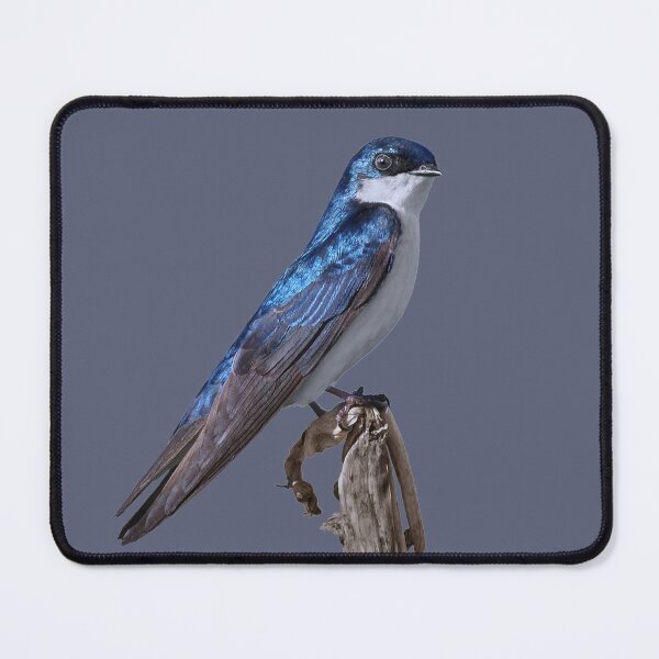 Item preview, Tree Swallow designed and sold by cherylorraine.