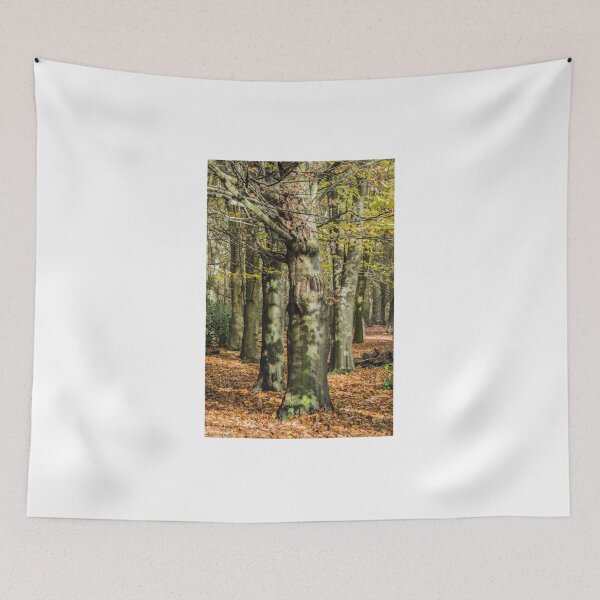 Item preview, Autumn Beech Trees designed and sold by Cameranick.