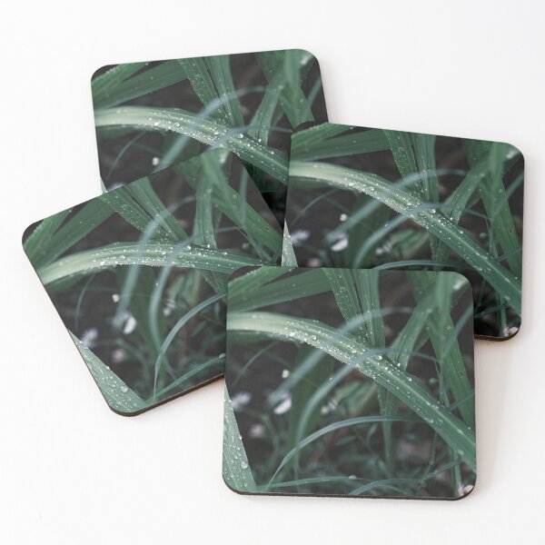 Item preview, Muted green grass with rain drops, fresh macro photography designed and sold by mhailittlearts.