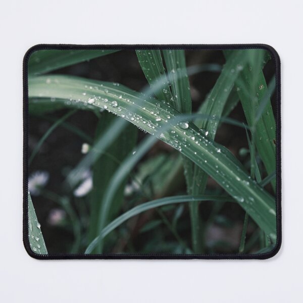 Item preview, Muted green grass with rain drops, fresh macro photography designed and sold by mhailittlearts.