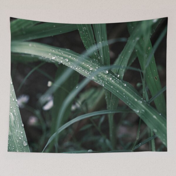 Item preview, Muted green grass with rain drops, fresh macro photography designed and sold by mhailittlearts.