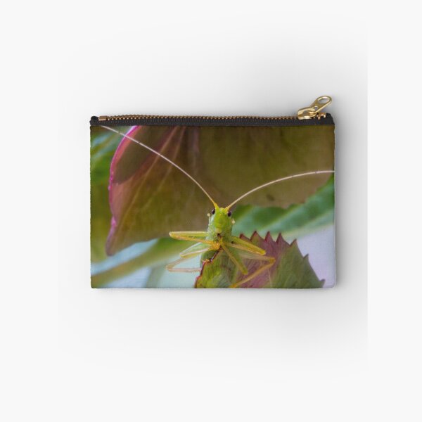 Item preview, Bush Cricket designed and sold by MikeSquires.